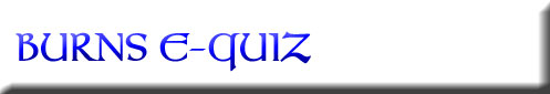 e-quiz